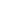 Coins icon