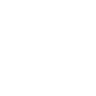 Walls icon